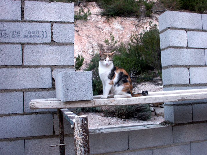 2005-06 002.jpg - DCF 1.0